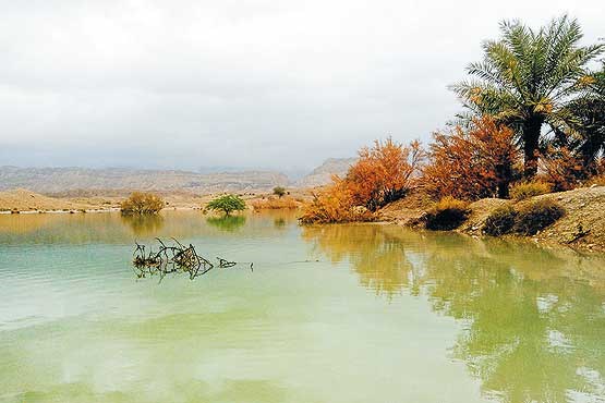 آبخیزداری حامی بوشهر در برابر سیل و خشکسالی