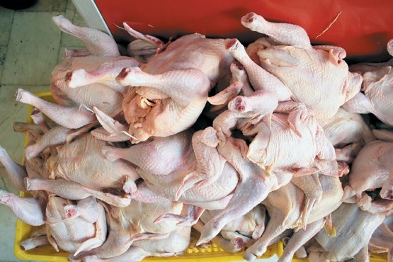 ثبات نسبی در بازار گوشت مرغ +جدول