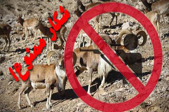ابتکار: شکار در ایران ممنوع است