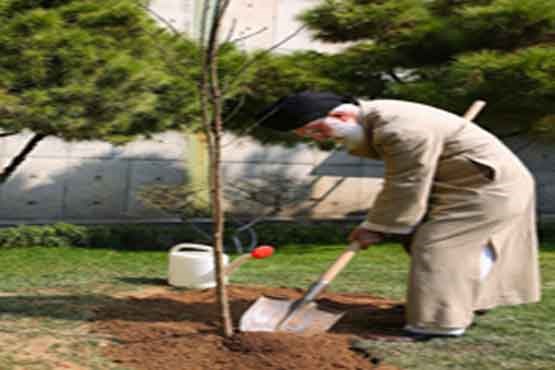 مراسم درختکاری نماد احترام مردم به طبیعت سرسبز ایران عزیز است