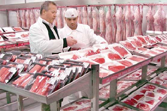 حسگرهای کاغذی مانع فساد مواد غذایی