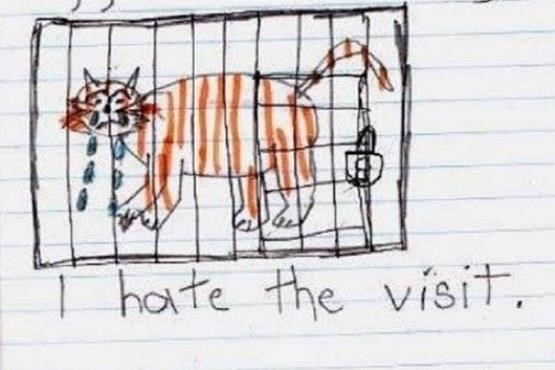 نامه دخترک شش ساله به باغ وحش نیویورک + عکس