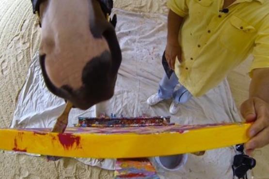 اسبی که با نقاشی کشیدن، خود را درمان کرد!+ عکس