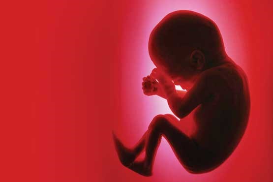 مقررات اهدای تخمک و جنین