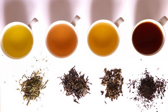 ۵ نوع چای برای کاهش وزن و چربی سوزی