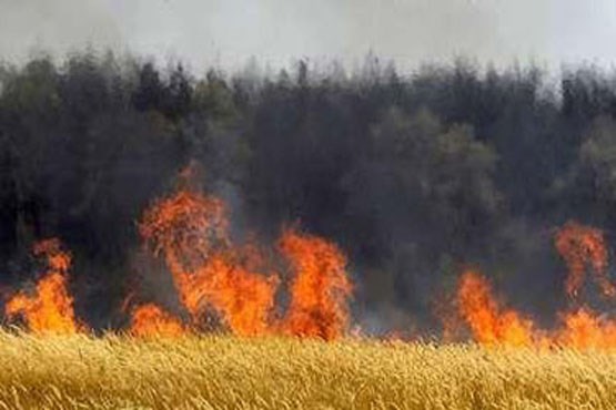 30 هکتار از مزارع گندم سرپل ذهاب در آتش سوخت