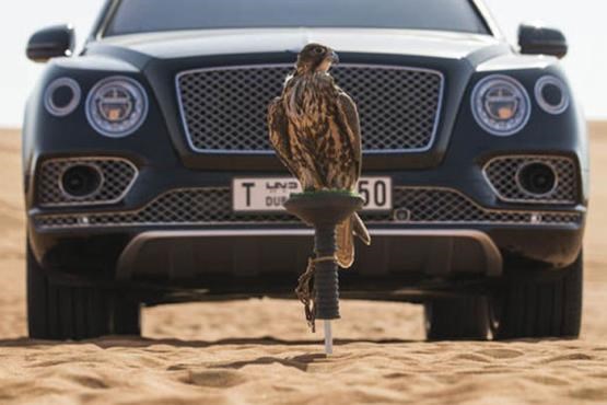 نسخه ویژه بنتلی بنتایگا با پرنده شکاری به فروش می رسد! +تصاویر