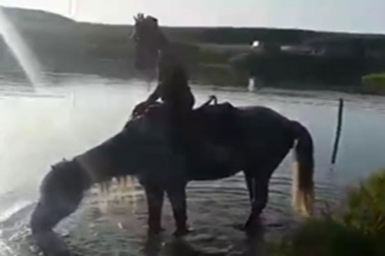 لحظه غم انگیز غرق شدن اسب در دریاچه