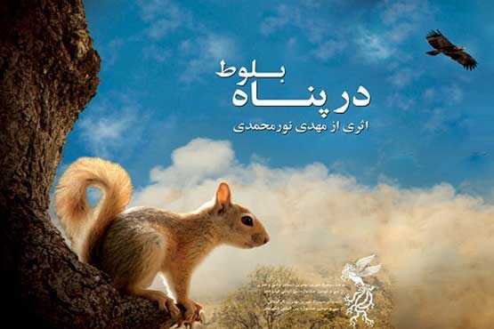 افتخار آفرینی سنجاب های ایرانی در جشنواره شوالیه طلایی