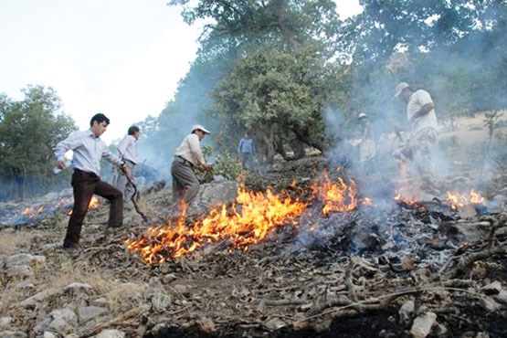 اشد مجازات برای آتش‌افروزان جنگل‌