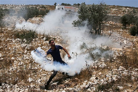 اعتراض فلسطینیان نسبت به اشغال زمین های روستای کفرقذم