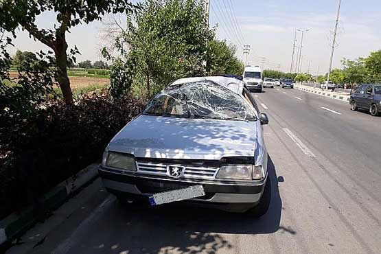 تصادف پژو و پراید در بلوار ابراهیم آباد +عکس
