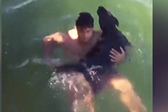 مامور آتش نشانی سگ را از غرق شدن نجات داد