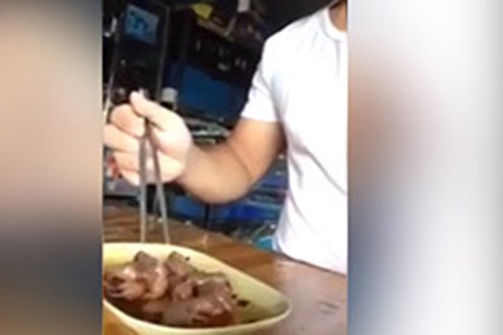 خوردن موش زنده در رستوران چینی