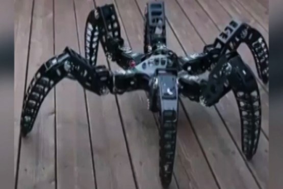 تولد عنکبوت رباتیک