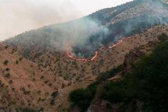 آتش سوزی 80 هکتار از جنگل ها و مراتع ثلاث باباجانی