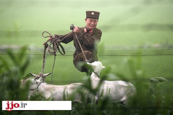 مرزبان ها و مناطق مرزی کره شمالی و چین + عکس