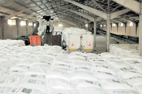 دلایل و پیامدهای 2 برابر شدن واردات برنج