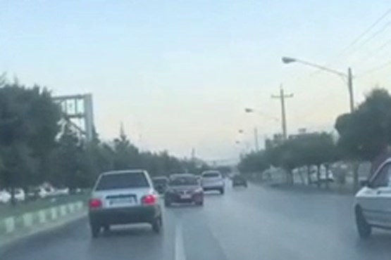 دنده عقب رفتن راننده متخلف در خیابانهای شیراز
