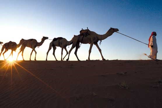 بن سلمان، یکی به نعل و یکی به میخ می‌زند