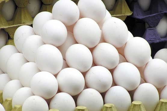 تخم مرغ هر کیلو 8800 تومان شد