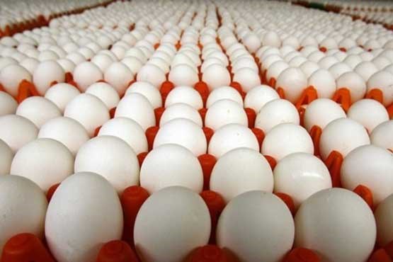 کاهش ۲۰۰۰تومانی نرخ هر کیلوگرم تخم مرغ درب مرغداری