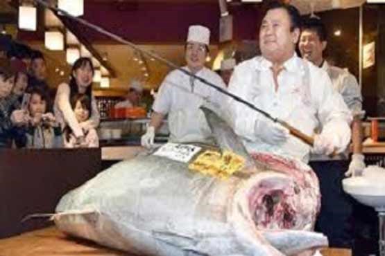 فروش گرانترین ماهی تن دنیا در ژاپن