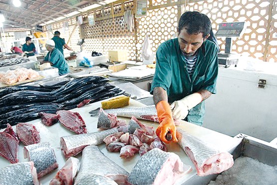 قیمت انواع ماهی در ماه مبارک رمضان +جدول