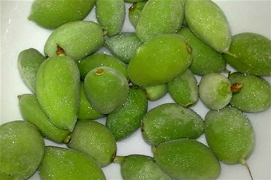 واکنش به چغاله بادام 200 هزارتومانی در بازار/ 120 هزار تومان گران تر نخرید