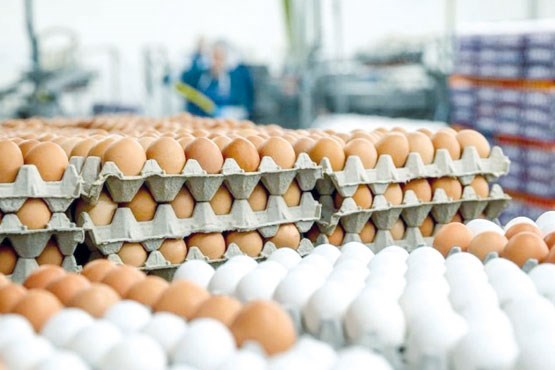 هر شانه تخم مرغ ۱۲ هزار و ۶۰۰ تومان