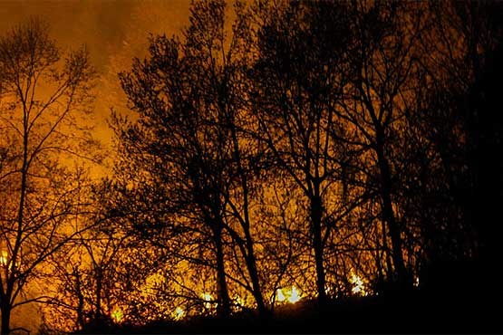 آتش‌سوزی در جنگل‌ های گیلان