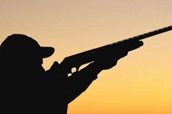 تفنگ های مجوز دار بلای جان پرندگان مهاجر در مازندران
