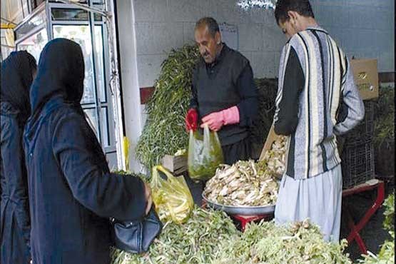 لزوم حفظ گنجی به نام گیاهان بهاری