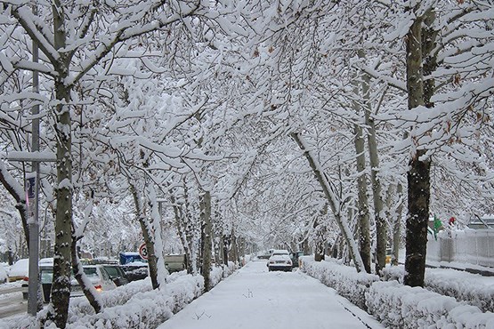 بارش برف و باران تا روز جمعه در برخی استان‌ها/ تداوم آلودگی هوا در شهرهای صنعتی