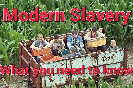 صنعت برده‌داری در آمریکا