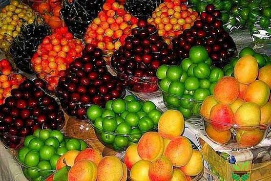 میوه‌های نوبرانه‌ در بازار چند؟