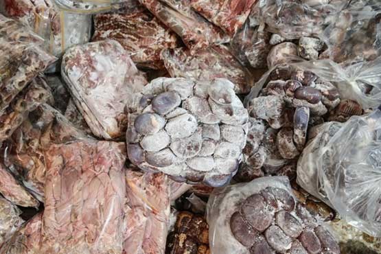 کشف 2 هزار کیلوگرم گوشت فاسد در نظرآباد کرج