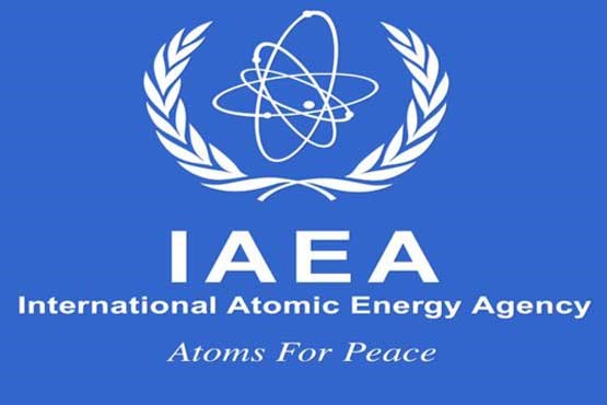 یک آرژانتینی مدیر عامل آژانس بین المللی انرژی اتمی شد +عکس