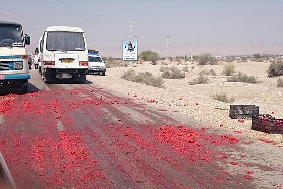 کشاورزان چوب بی‌تدبیری دولت را می‌خورند / وزارت کشاورزی متولی خوبی در این بخش نبوده است