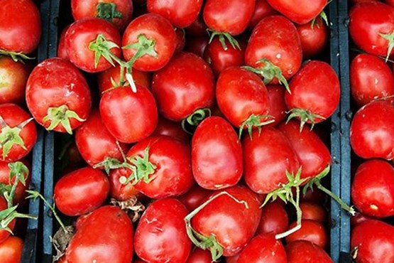 رئیس اتحادیه بارفروشان: قیمت 2500 تومانی گوجه فرنگی صحت ندارد