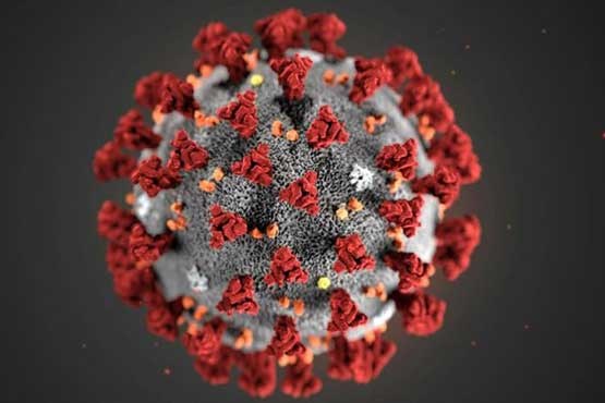 اخبار جدید از ویروس کرونا؛ 7800 مبتلا و 170 کشته تا کنون