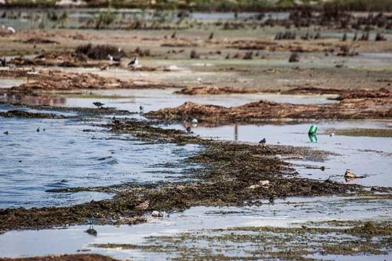 خلیج گرگان ۴ سال دیگر خشک می‌شود‌