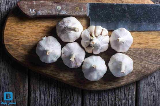 بهترین خوراکی ها برای افزایش ایمنی بدن در سفر بهترین خوراکی ها برای افزایش ایمنی بدن در سفر