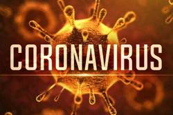 مدیر عامل بنیاد بیماری‌های نادر ایران به تشریح توصیه‌های بهداشتی برای مقابله با کرونا ویروس پرداخت.