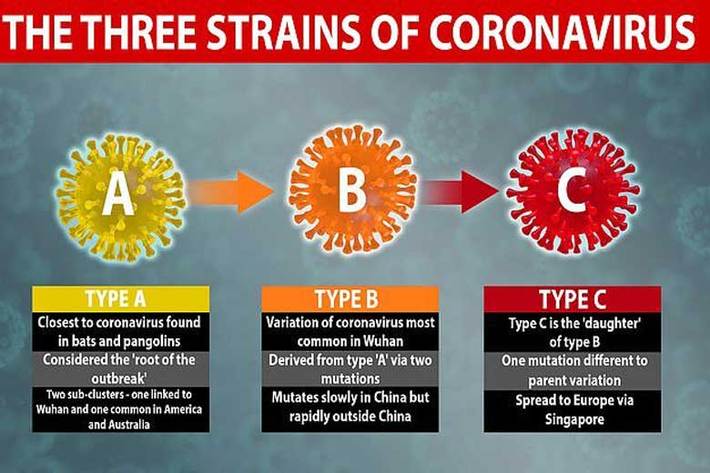 روزنامه دیلی‌میل گزارش داد، محققان دانشگاه کمبریج انگلیس موفق به شناسایی سه گونه مرگبار ویروس کرونا شده‌اند.