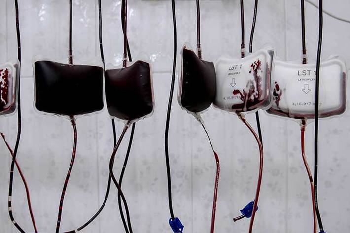 خون یک مایع حیاتی برای بدن است و بدون آن زندگی معنا ندارد، با هر اهدای خون می‌توان جان سه نفر را از مرگ نجات داد. اهدای خون یک امر حیاتی برای نجات جان نیازمندان به خون می‌باشد.