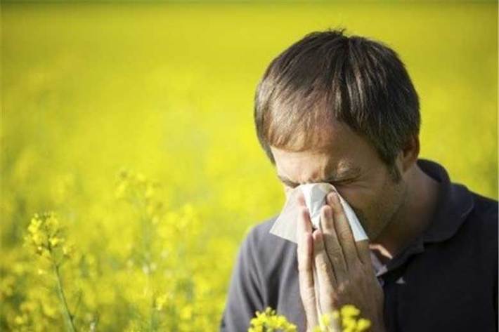 آلرژی شرایطی شایع در جهان، به ویژه در فصل بهار است. مواردی مانند گرده گیاهان، چمن و علف های هرز اغلب عامل بروز آلرژی های فصلی هستند.