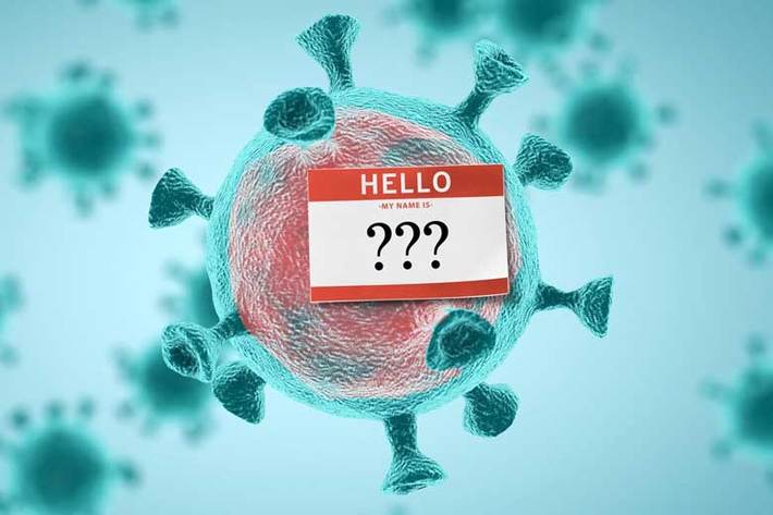 شاید دانستن پاسخ این سوال برای شما نیز جذاب باشد که دانشمندان بر چه اساسی ویروس‌های جدید را نام‌گذاری می‌کنند؟ بهتر است بدانیم، نام‌گذاری ویروس‌های یافته شده، خود یک پروسه جدی و تخصصی است که محققان بر اساس چهارچوب‌ و پایه‌های علمی ویروس‌های جدید را نام‌گذاری می‌کنند، نه بر اساس سلایق شخصی.
