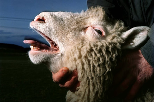 مهم ترین لحظات 25 سال اخیر (گزارش تصویری- 1 ) مهم ترین لحظات 25 سال اخیر (گزارش تصویری- 1 )