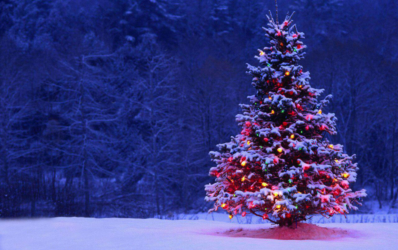 پیامک تبریک کرسمس 2021 پیامک تبریک کرسمس 2021